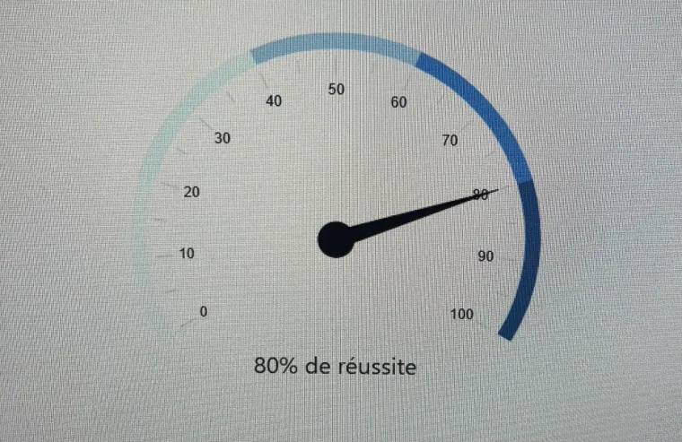 Réussite au permis de conduire dans votre auto-école à Bergues, Bergues, Auto-école Starter